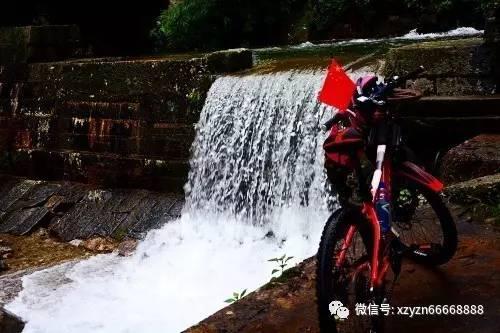 救援小蝙蝠